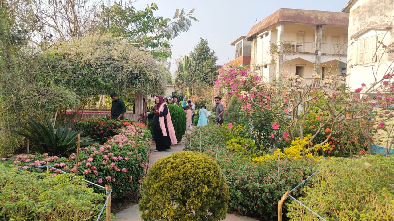 মগনামা গ্রীণ পার্ক