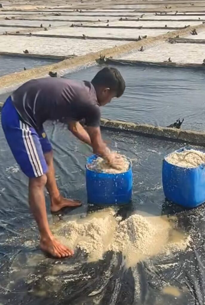 মহেশখালীতে ঘন কুয়াশায় লবণ উৎপাদন ব্যাহত! লোকসানের শঙ্কায় চাষীরা