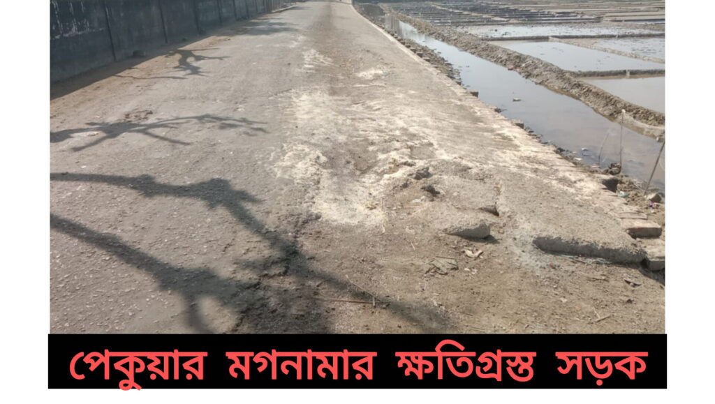 লবণ পানিতে নষ্ট হচ্ছে মহাসড়ক, মানছে না প্রশাসনের নির্দেশনা বড় দূর্ঘটনার শঙ্কা।